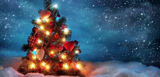 Foto :: Veja mensagens de bom dia e Feliz Natal para esta ... ▷ Feliz Natal  mensagem ▷ Shotoe