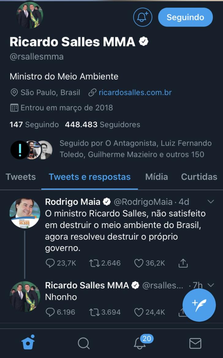 Ministro do Meio Ambiente chama presidente da Câmara, Rodrigo Maia, de 'Nhonho', personagem da série Chaves — Foto: Reprodução/Twitter