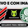 Athletico-PR x Palmeiras