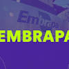 Embrapa concurso